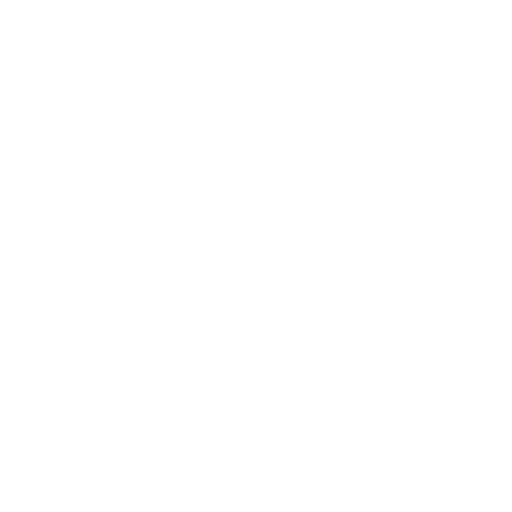    Our Vision